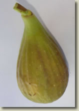 Longue d'Ao&Atilde;&Acirc;&raquo;t